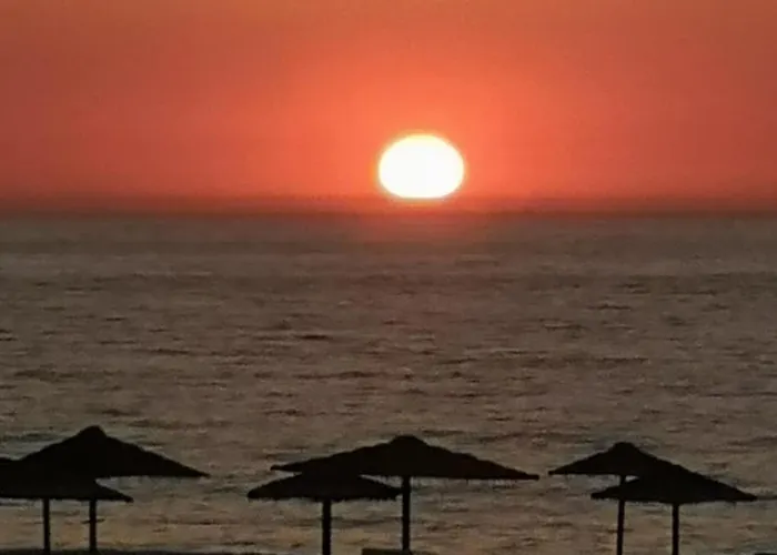 Oasis By Sun Sea *