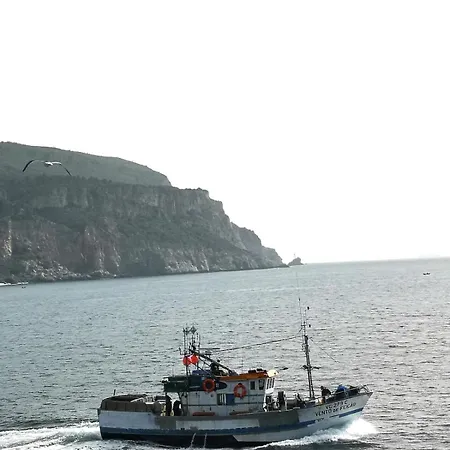 Appartement Oasis By Sun Sea