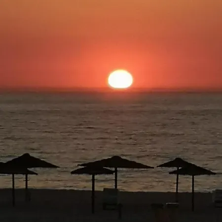 Oasis By Sun Sea *