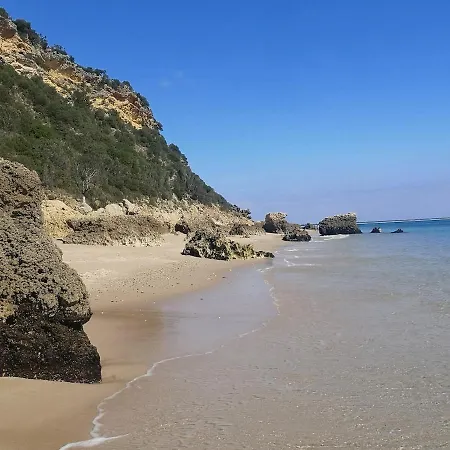 Oasis By Sun Sea Appartement